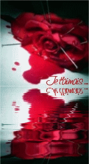 J AI RECU DES FLEURS AJD